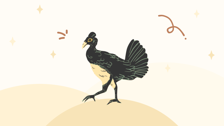 [Ngữ pháp] 건마는: Thế nhưng, nhưng mà